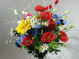 images?q=tbn:ANd9GcR5ePIyk7L_ROdi_14i2NG