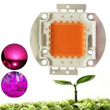 100w Full Spectrum 380 840nm Cob Led Grow Light Chip Diy For Indoor Plant Sale Banggood Com Sold Out Arrival Notice
