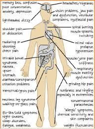 Pin On Fibromyalgia