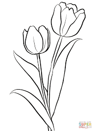 More 100 coloring pages from nature coloring pages category. Two Tulips Coloring Page From Tulip Category Select From 28148 Printable Crafts Of Cartoons Natu Printable Flower Coloring Pages Tulip Drawing Coloring Pages