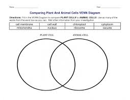 We did not find results for: Plant Cells Vsanimal Cells Venn Diagram Wiring Site Resource
