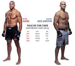 Rozenstruik will look to extend his winning streak to two after defeating dos santos via tko (punches) at ufc 252 on aug. Ufc 256 December 12 2020 Ciryl Gane Vs Junior Dos Santos Fantasycruncher Com Dfs Articles Insights