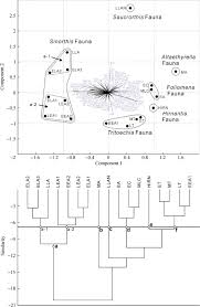 The Great Ordovician Radiation Of Marine Life Examples From South China Sciencedirect
