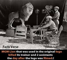 Since 1916 and through the time the studio was formed by the merger of samuel goldwyn's studio with marcus loew's metro pictures and louis b. Spam Mgm Logo Lion Had Killed Its Trainer And Assistants Check4spam