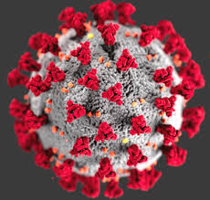 Covid19 coronavirus corona, violet, logo, clock, circle transparent background png clipart. Covid 19 Home