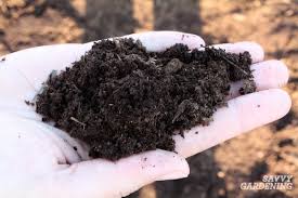 You can blend it into your seed mixture or soil to ensure deep. Natural Fertilizer Choices For The Garden Which Is The Best
