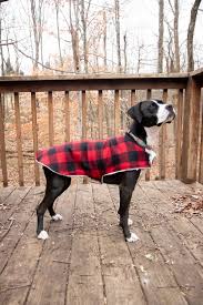 The pattern was easy to read and measurements good. How To Sew A Cozy Custom Dog Coat In Less Than An Hour Wholefully