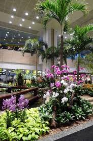 Orchideengarten Quelle Singapore Changi Airport Singapur Indoor Garten Grune Architektur