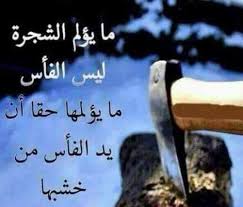 نتيجة بحث الصور عن صور مكتوب عليها ضربة القريب توجع الف مرة من الغريب Funny Arabic Quotes Beautiful Arabic Words Spiritual Words