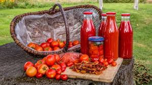 Schwarze tomaten sind in den letzten jahren häufiger in den gärten zu sehen. Tomaten Nach Der Ernte Haltbar Machen Ndr De Ratgeber Garten Nutzpflanzen