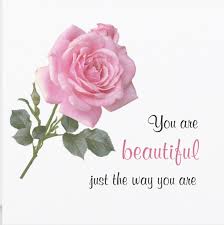 Beautiful, free images gifted by the world's most generous community of photographers. You Are Beautiful Just The Way You Are Pink Rose Card Zazzle Com In 2021 You Are Beautiful You Are Beautiful Quotes The Way You Are