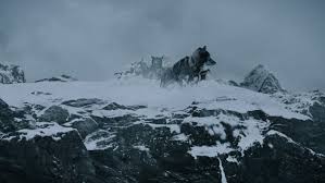 Dneg Creates A Dog S Life For Togo