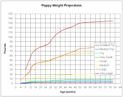 Puppy Growth Chart Gbpusdchart Com