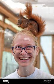 Student squirrel hi-res stock photography and images