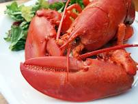 New England Lobster Boil