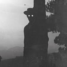 Lago morto, a lake in the province of treviso, veneto, italy. Charles Morto Charles Morto Twitter