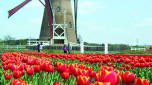 Verificați mai jos care sunt limbile oficiale în fiecare țară. Olanda O Tara Pe Care Merita S O Vezi