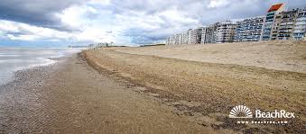 Dit is de ideale plek om je lichaam te trakteren op een kleurtje en een portie vitamines. Strand Heldenplein Knokke Heist Westvlaanderen Belgium Beachrex Com