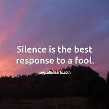 Silence is like a slap, which knocks some sense into someone's brain. Silence Is The Best Response To A Fool Idlehearts