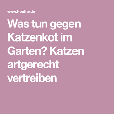 Was Tun Gegen Fremde Katzen Im Garten Garten Katzenkot Katzen