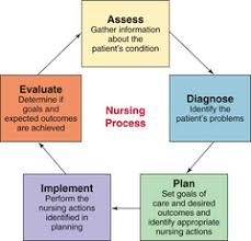 The Nursing Process Is A Scientific Method Used By Nurses To Ensure The Quality Of Patient Care This Approach C Nursing Process Nursing School Clinicals Nurse