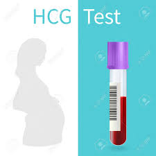 In this test, an ultrasound probe is inserted into the vagina, and pelvic images are visible on a monitor. Blood Pregnancy Test Hcg Vector Medical Illustration White Background Royalty Free Cliparts Vectors And Stock Illustration Image 123853577