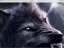 We did not find results for: Coolest Looking Wolf Ever Wolf Thunder Animation