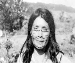 Transporte Mientras que en la zona montañosa de Chiriquí y en las sabanas  veragüenses el transporte se basa en la domesticaci