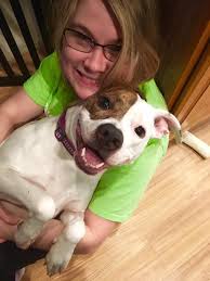 What doggy daycare is recommended in the NK area for a 1 year old pup?