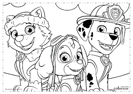 Dibujo Patrulla Canina Colorear