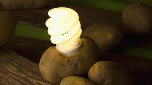 Have you ever thought of an apple, soda, potato, ginger, juices and or. Potato Power The Spuds That Could Light The World Bbc Future