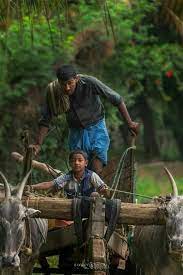 Pin By Sree On Heart Touching Village Photography People Of The World Photographs Of People