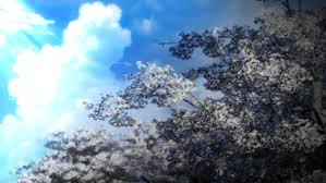 Design background with sakura tree. Free Sakura Tree Background By Visual Novel Assets