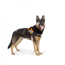 Idc High Visibility Powerharness Julius K9 Online Store