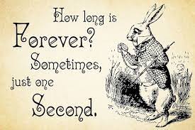 Alice In Wonderland Quote Amp 8211 How Long Is Forever Amp 8211 White Rabbit Quote Amp 8211 Alice And Wonderland Quotes Wonderland Quotes Alice Quotes