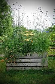 We did not find results for: How To Create A Mini Meadow Diy Meadow Garden Boho Garden Garden Design