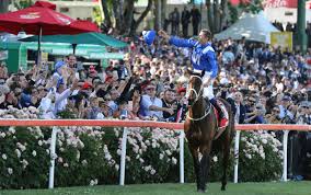 Cox Plate Day In Review 2017