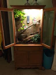 China Cabinet Converted To Anole Lizard Habitat Lizard Habitat Anole Habitats