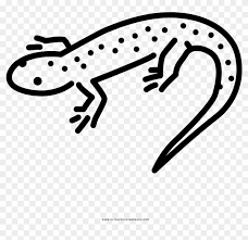 Oct 26, 2021 · download salamander coloring pages to print. Salamander Coloring Page Gecko Hd Png Download 1000x1000 6380428 Pngfind