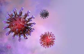 Coronavirus - All You Need to Know | Narayana Health