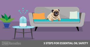 You will receive graphic and mailing side *please be advised this is a. 5 Steps To Make Essential Oils Safe For Dogs Plus 13 Recipes
