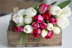 We did not find results for: New Haven In Same Day Same Day Flower Delivery Delivery Send A Gift Today Forever Friends Floral