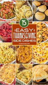 We did not find results for: Easy Thanksgiving Side Dishes An Immersive Guide By Plain Chicken