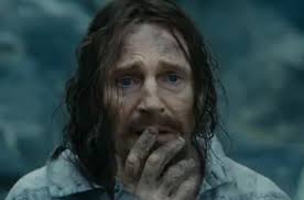 Ali Larter and husband Hayes MacArthur welcome baby boy Theodore