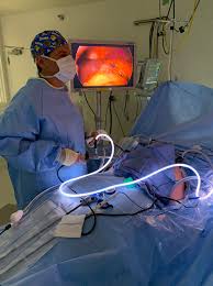 Profile for Dr. Stewart Elvis Rendon