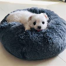Super soft & rich fabric of the small pet keeps puppies & kitties comfortable. Buy Round Dog Bed Washable Long Plush Dog Kennel Cats House Super Soft Cotton Mats Sofa For Dog Chihuahua Best Pet Bed For Cat Bed At Affordable Prices Free Shipping Real