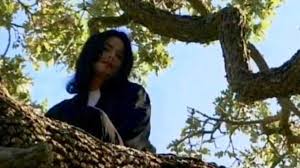 Stopping to smell the roses at chicago botanic garden will no longer be free starting in 2022. Flex Alexander On The Horrid Michael Jackson Movie Lipstick Alley