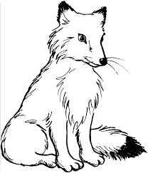 We did not find results for: Malvorlagen Fuchs Coloring And Malvorlagan