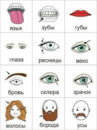 Pin By Aysegul On Tureckij Yazyk Rusca Russian Language Learning Russian Language Russian Lessons