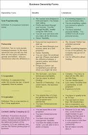 a basic and advanced view of choosing a business structure